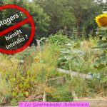 Potagers : bientôt interdits ?