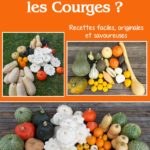 « Comment cuisiner les Courges ? Recettes faciles, originales et savoureuses » : mon nouveau livre !