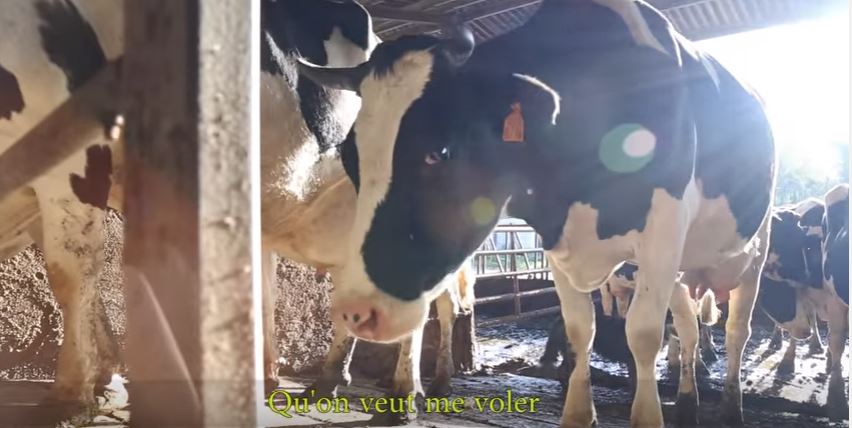 Une belle façon de dénoncer l’industrie agroalimentaire (Vidéo)