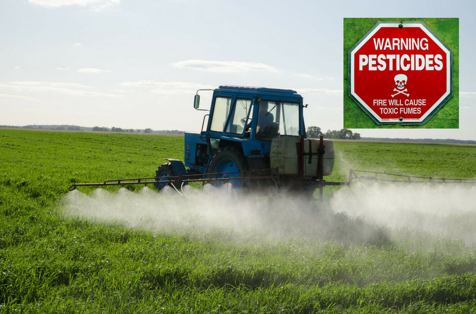 Pesticides : les agriculteurs conventionnels (non bios) se moquent-ils de nous ?