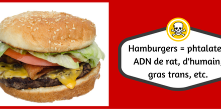 Hamburgers = phtalates, ADN de rat, d’humain, gras trans, etc.