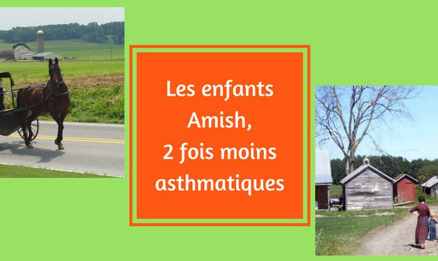 Les enfants Amish, 2 fois moins asthmatiques