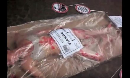 Opération choc barquette de viande humaine à Arras (Vidéo)