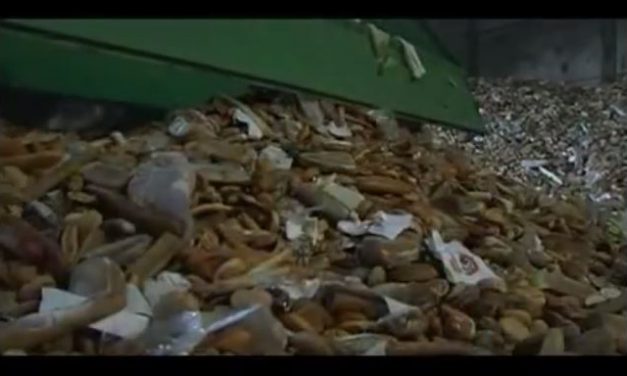 Un exemple de gaspillage alimentaire à Vienne (Vidéo)