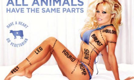 Pamela Anderson vous invite à devenir végétarien