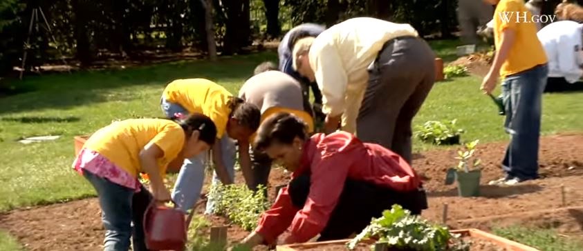 Le jardin bio de Michelle Obama contesté par Monsanto (Vidéo)