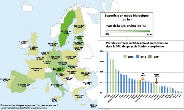 La France a plus de surfaces agricoles bios que l’Allemagne