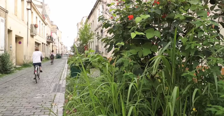 Pourquoi pas une rue jardin dans votre ville ? (Vidéo)