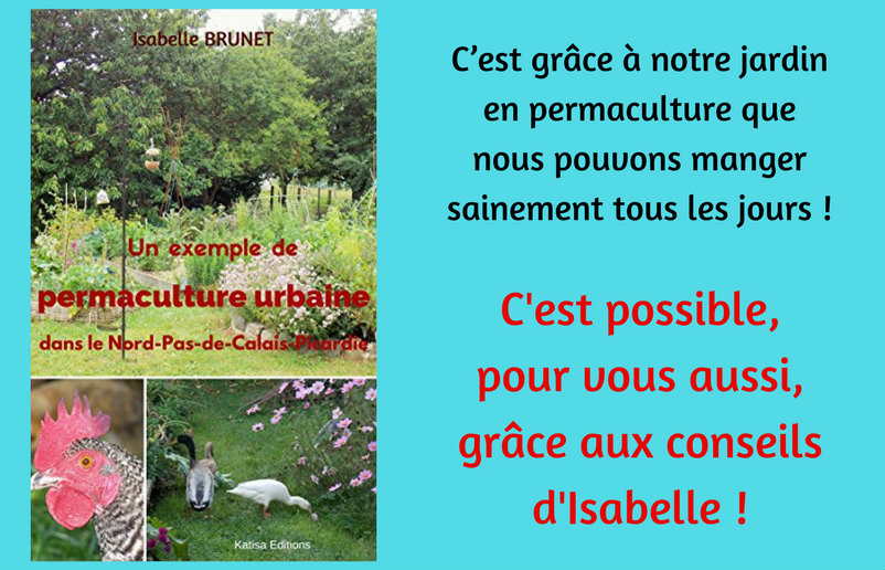 « Un exemple de permaculture urbaine dans le Nord-Pas-de-Calais-Picardie », le livre d’Isabelle Brunet