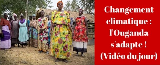 Changement climatique : l’Ouganda s’adapte ! (Vidéo)