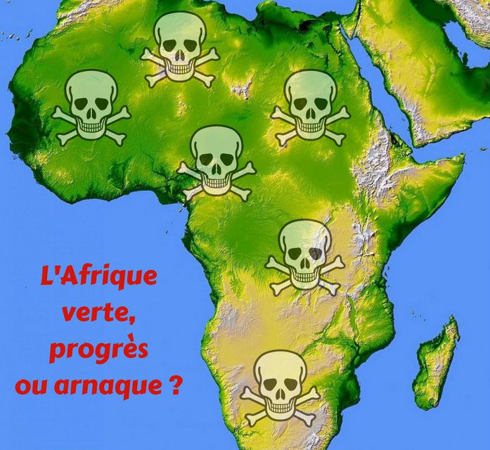 L’Afrique verte, progrès ou arnaque ?