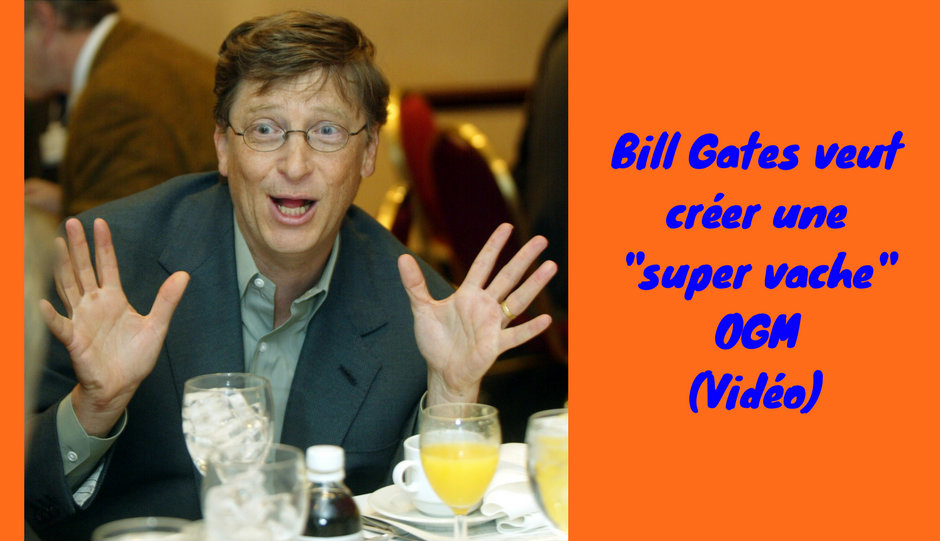 Bill Gates veut créer une “super vache” OGM (Vidéo)
