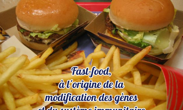 Fast-food, à l’origine de la modification des gènes et du système immunitaire (Actu)