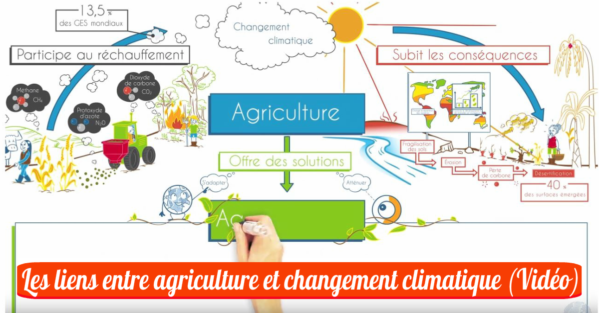 Les liens entre agriculture et changement climatique (Vidéo)