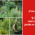 A vos agendas ! Le 26 mai, venez visiter mon jardin en Permaculture