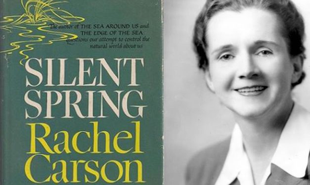 Connaissez-vous Rachel Carson, la créatrice de l’écologie moderne ?
