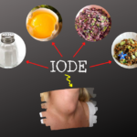 Pourquoi l’iode est indispensable au bon fonctionnement de votre organisme ?