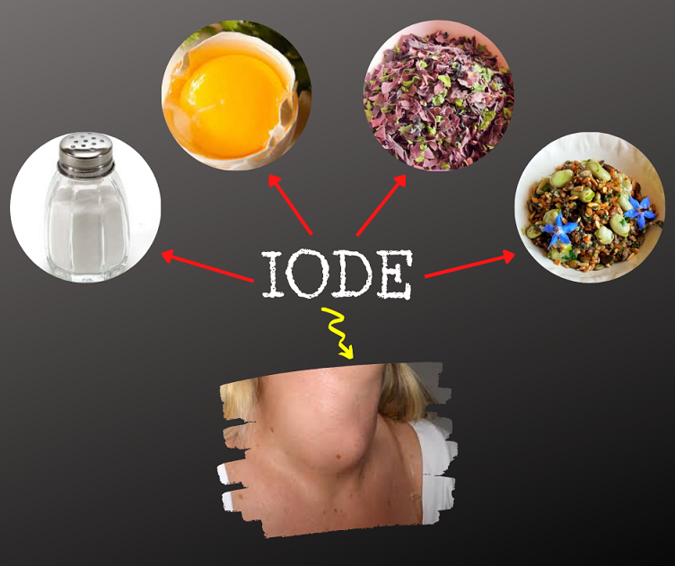 Pourquoi l’iode est indispensable au bon fonctionnement de votre organisme ?